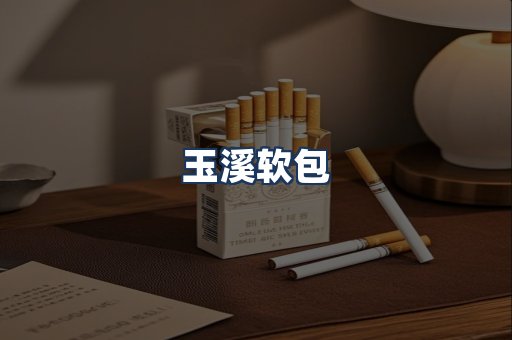 玉溪软包